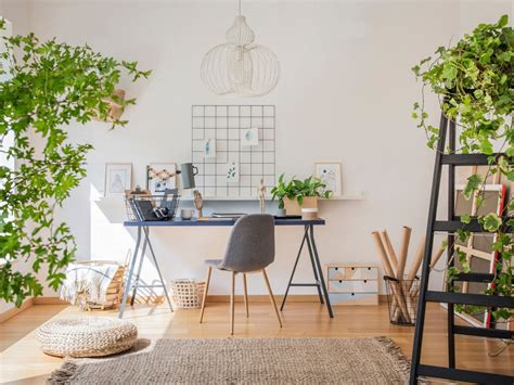 Work-At-Home Office Space Plants: Houseplants For A Home Office