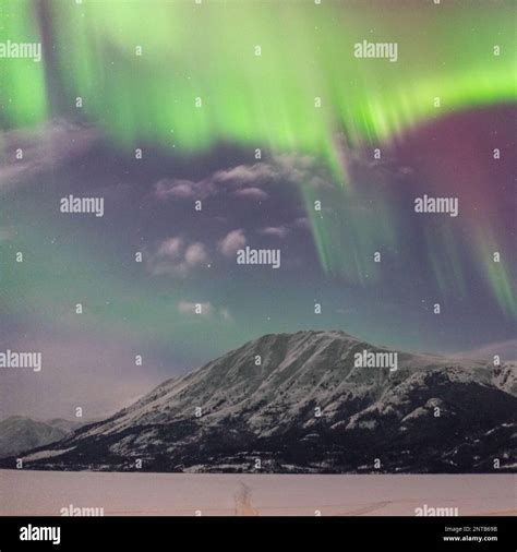 Aurora Borealis seen in northern Canada during winter time with snow ...