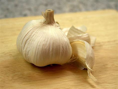 Free picture: garlic, cloves, garlic