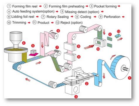 Understanding The Working Of Blister Packing Machine - Sonus ...