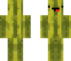 WATERMELON | Minecraft Skin