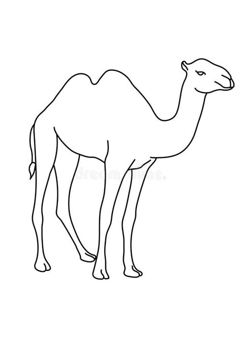 Camel Clipart Black And White