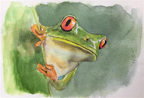 Tree Frog - feedback welcome : r/Watercolor