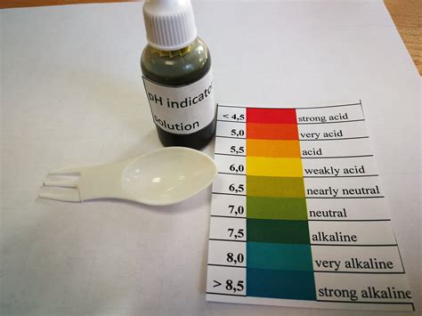 Ph Indicator Solution - Etsy