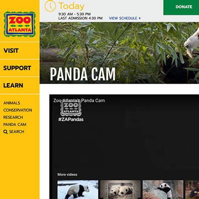 Zoo Atlanta Panda Cam - Hancock Wildlife Foundation