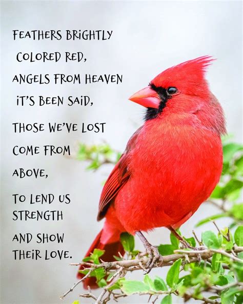 Red Cardinal Poster Printable Memorial Poem Printable Art | Etsy | Cardinals poster, Cardinal ...