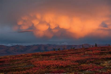 Mamma Mia, Look at them Clouds - Arctic Circle | Mammatus, m… | Flickr