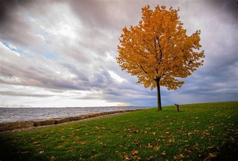 Fall colours and an incoming storm Kingston, Ontario, CA | Fall colors, Weather photos, Outdoor