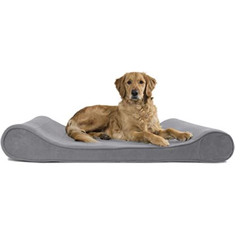 Compare price to kong dog beds extra large | TragerLaw.biz