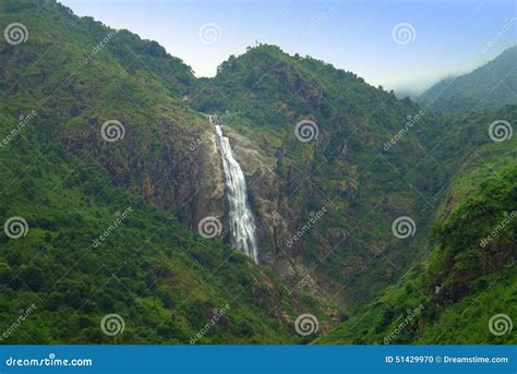 The Mountain Forest with Waterfall Stock Photo - Image of wildlife ...