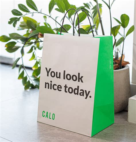 Branding for Calo by Limefish