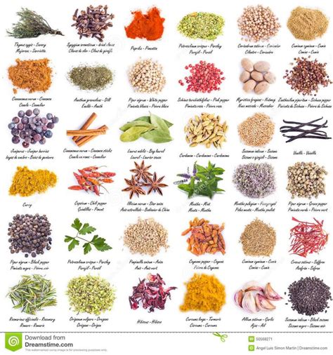 Pin by Ste Be on 專題參考圖 | Names of spices, List of spices, Spice set