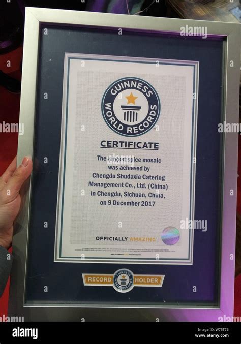 The Guinness World Record certificate for the largest spice mosaic is ...