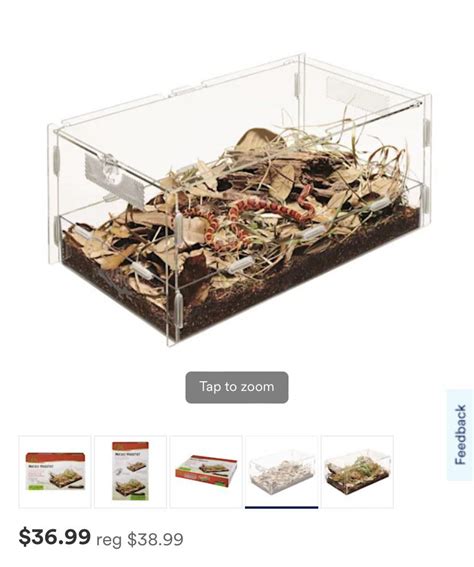 Is this a good habitat for isopods? : r/isopods