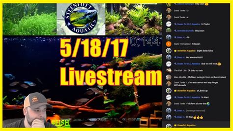 Aquarium Livestream - Breeding Fish For Profit - YouTube