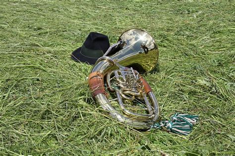 HD wallpaper: silver musical instrument on grass, horn, tuba, blowers, gloss | Wallpaper Flare
