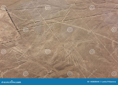 Nazca Lines from the Aircraft- Hummingbird Stock Photo - Image of ...