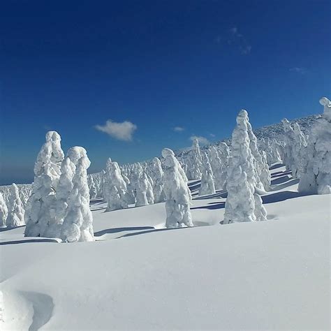 @Visit Japan: ZAO SNOW MONSTERS Every winter, as Siberian winds rush though the Zao Mountain ...