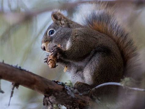 Interview Island Wildlife Sanctuary in Andaman and Nicobar, India | Wildlife sanctuary, Wildlife ...