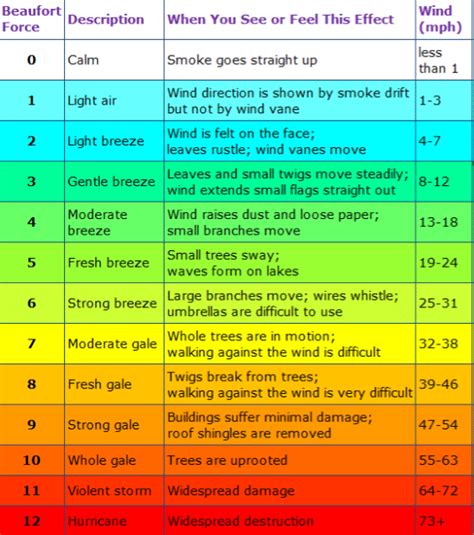 Wind speed and gusts - Inspired Forest School Training