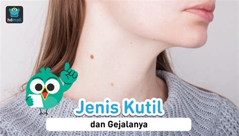 6 Jenis Kutil yang Bentuknya Berbeda, Jangan Tertukar! | HDmall