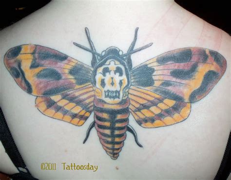 Moth from silence of the lambs tattoo | Lamb tattoo, Silence of the ...