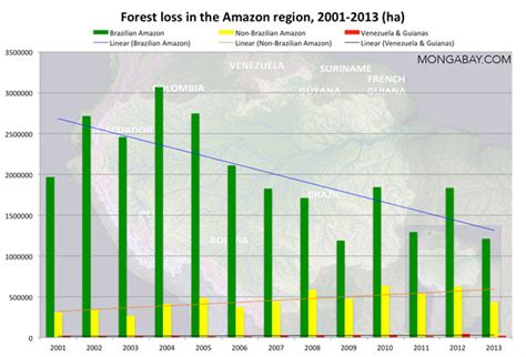 What's the current deforestation rate in the Amazon rainforest?