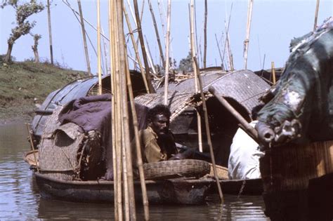 Free picture: man, boat, way, Char, island, district, Romari, northeast, Bangladesh