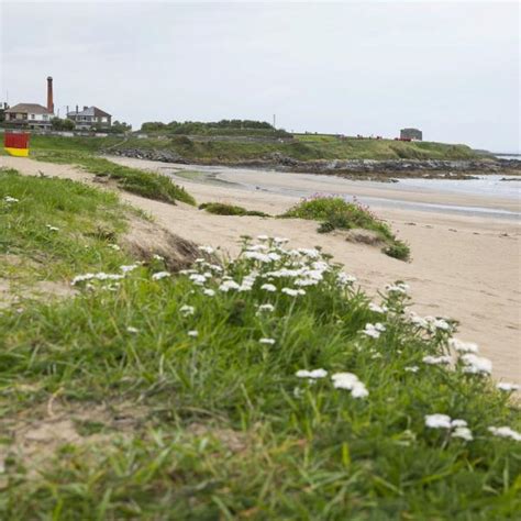 Balbriggan Beach | Fingal County Council