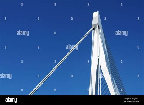 Erasmus Bridge â€“ Rotterdam Stock Photo - Alamy