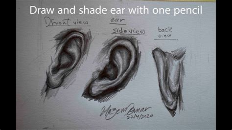 Draw ear front, side and back view with only one pencil | Art reference ...