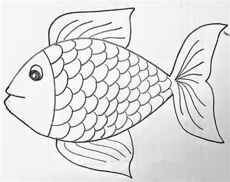 Fish Drawing For Kids