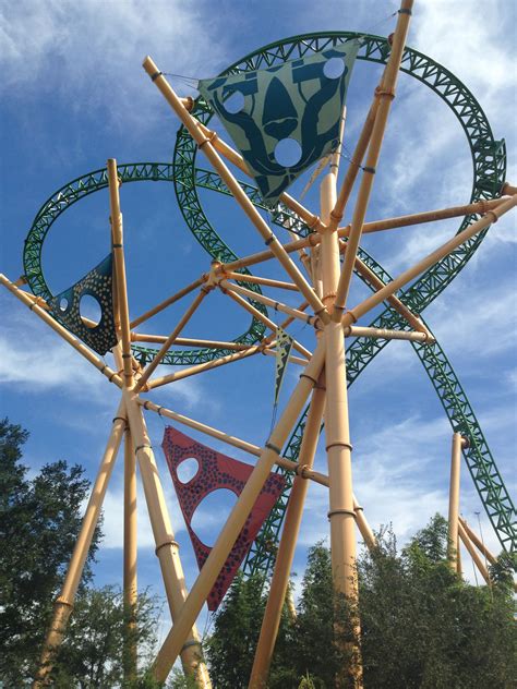 Cheetah Hunt Busch Gardens Review – Beautiful Flower Arrangements and ...