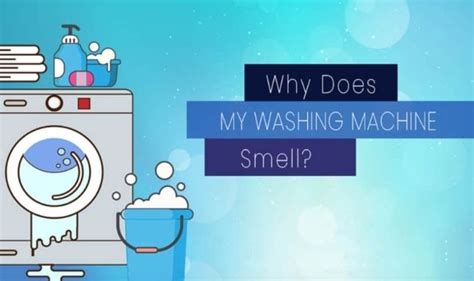 What Causes Smell in a Washing Machine #Infographic - Visualistan