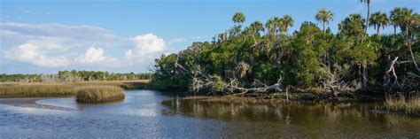 Hiking Inglis – Florida Hikes