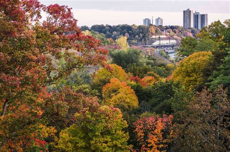 Where to Enjoy the Fall Foliage in Toronto