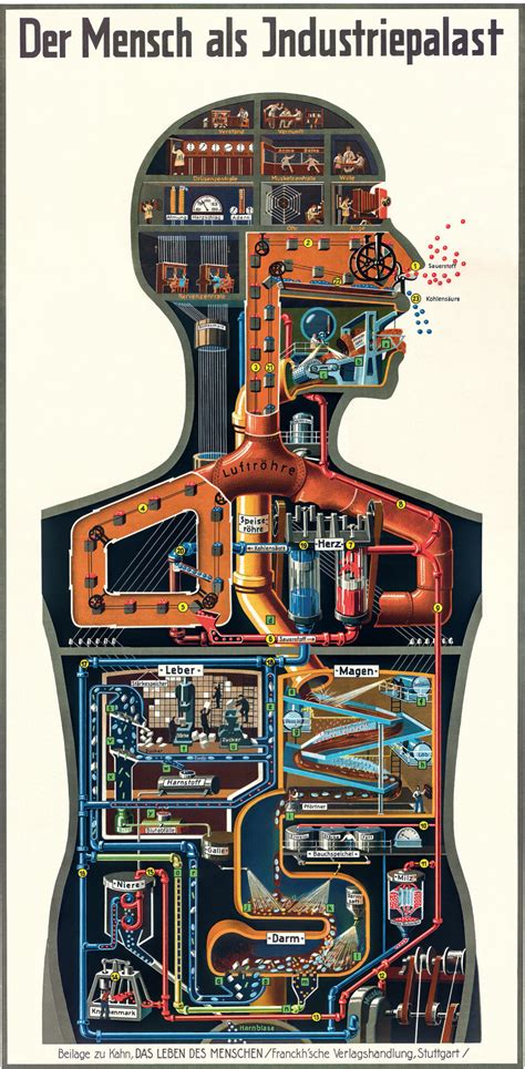 Man Made: A History of Synthetic Life | Science History Institute