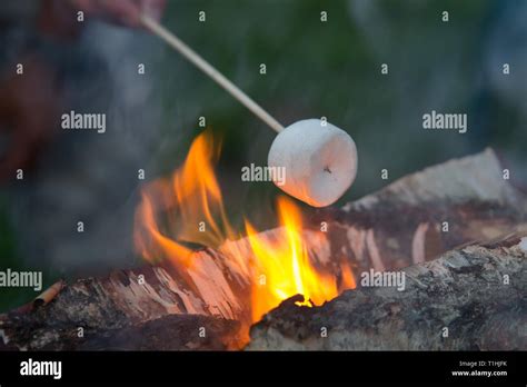 Marshmallow stick fire hi-res stock photography and images - Alamy