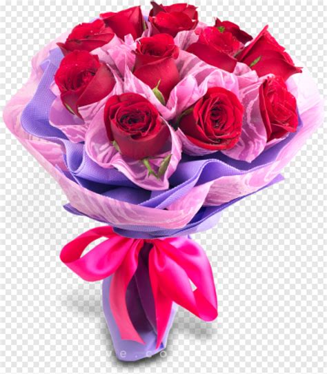 Real Flower - Love Rose Cuddles, Png Download - 384x440 (#14126192) PNG Image - PngJoy