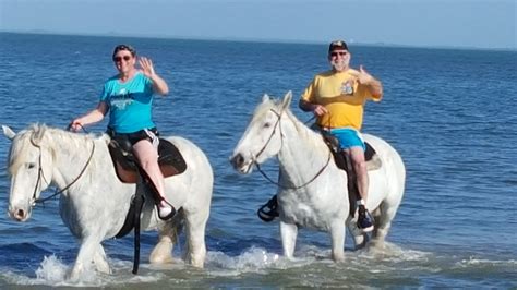 Beach horse back rides bucket list St Petersburg FLorida | Beach horseback riding, St petes ...