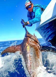 2019 Swordfish Conservation Record | The Billfish Foundation