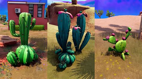 Where to find Fortnite Cactus plants and destroy different types ...