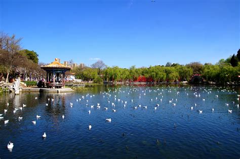 Kunming Travel Guide | China-Travel-Guide.net