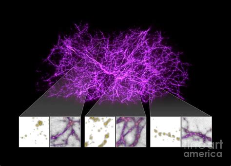 Cosmic Web Structure Of The Universe Photograph by Nasa, Esa, And J ...