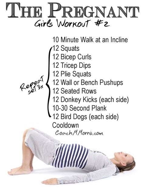 The 30 Minute Pregnancy Workout Book - WorkoutWalls