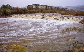 Earth's Internet & Natural Networking: San Jacinto River Wildlife ...