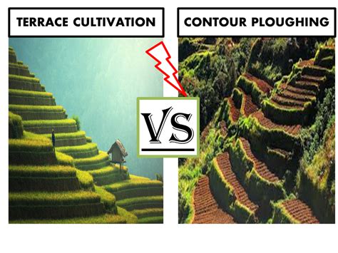 Difference between contour ploughing and terrace cultivation. | BahotGyan