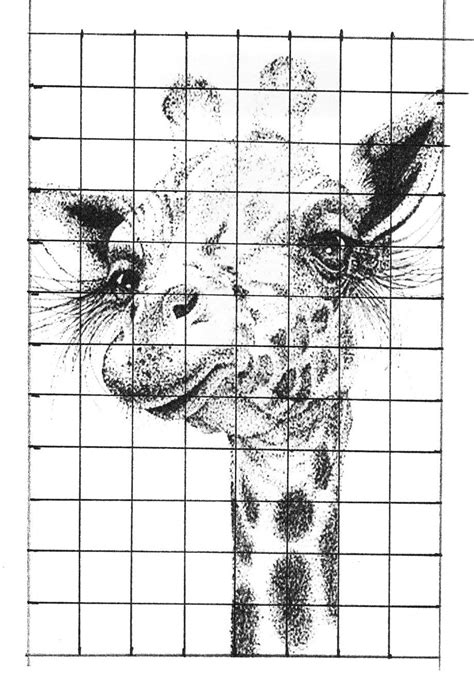 Art Grid Drawing Worksheets | Art worksheets, Animal art projects, Drawings