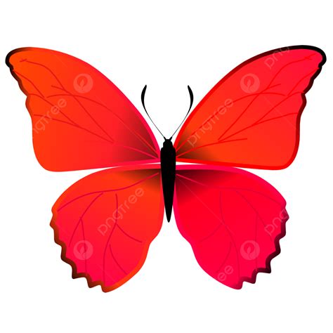 Beautiful Butterfly Clipart Transparent Png Hd Beautiful Red Butterfly ...