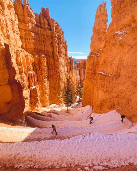 Winter wonderland in Utah! : r/Outdoors